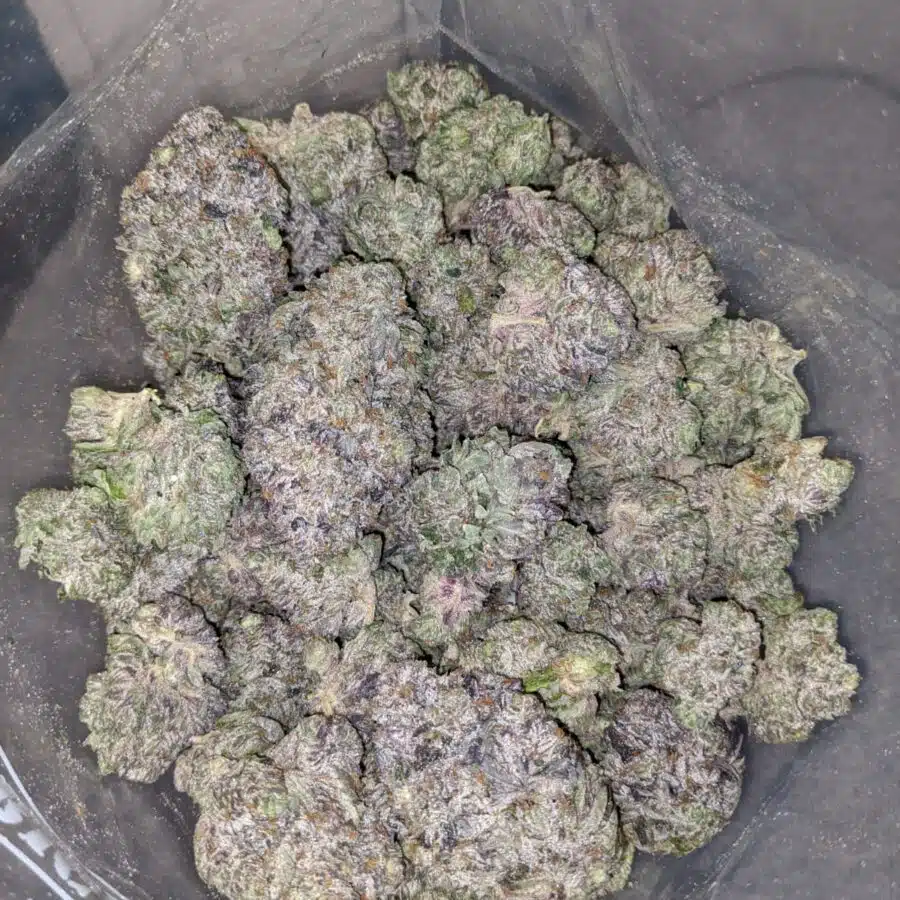 purple rockstar aaaa 4 I Purple Rockstar AAAA+