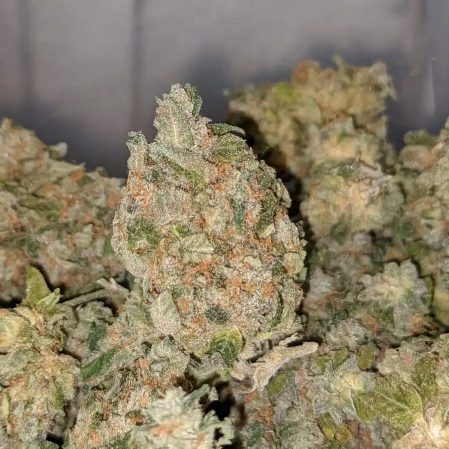 sour diesel dod 2 I Sour Diesel - *Deal Of The Day*