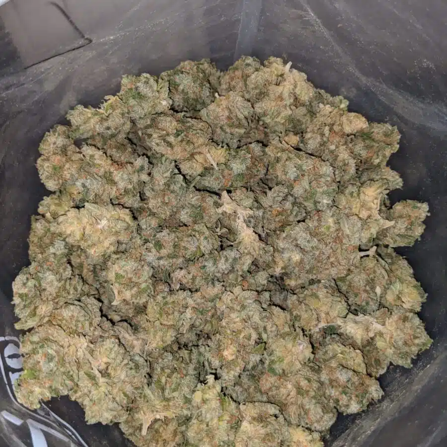 sour diesel dod 3 I Sour Diesel - *Deal Of The Day*