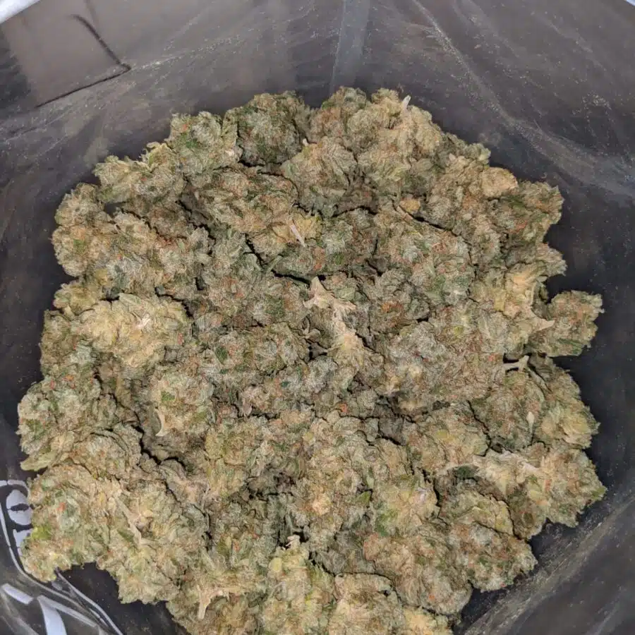 sour diesel dod 4 I Sour Diesel - *Deal Of The Day*