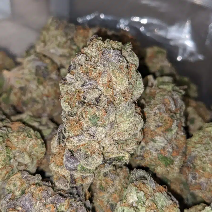 t 3 I Tony's OG Wreck