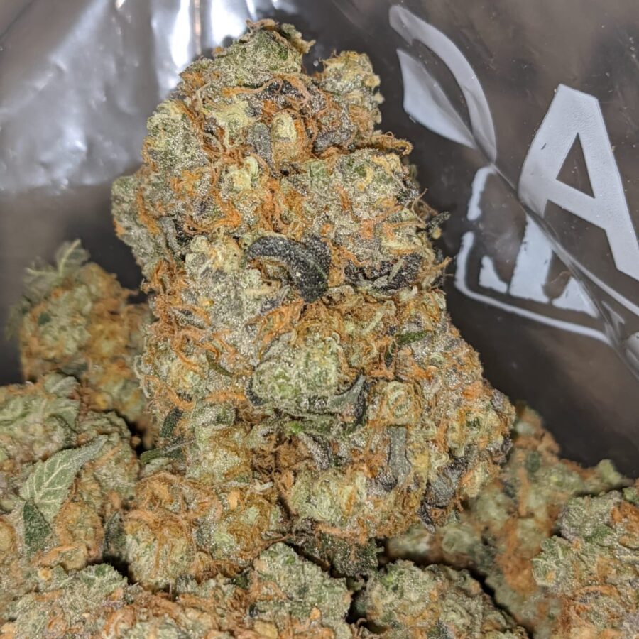 tangerine dreams 1 I Tangerine Dream