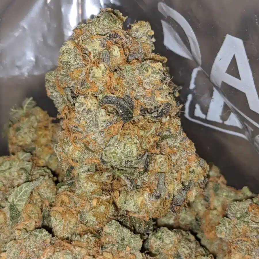 tangerine dreams 1 I Tangerine Dream