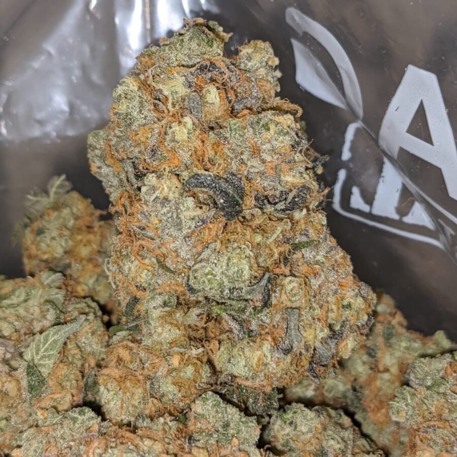 tangerine dreams 2 I Tangerine Dream
