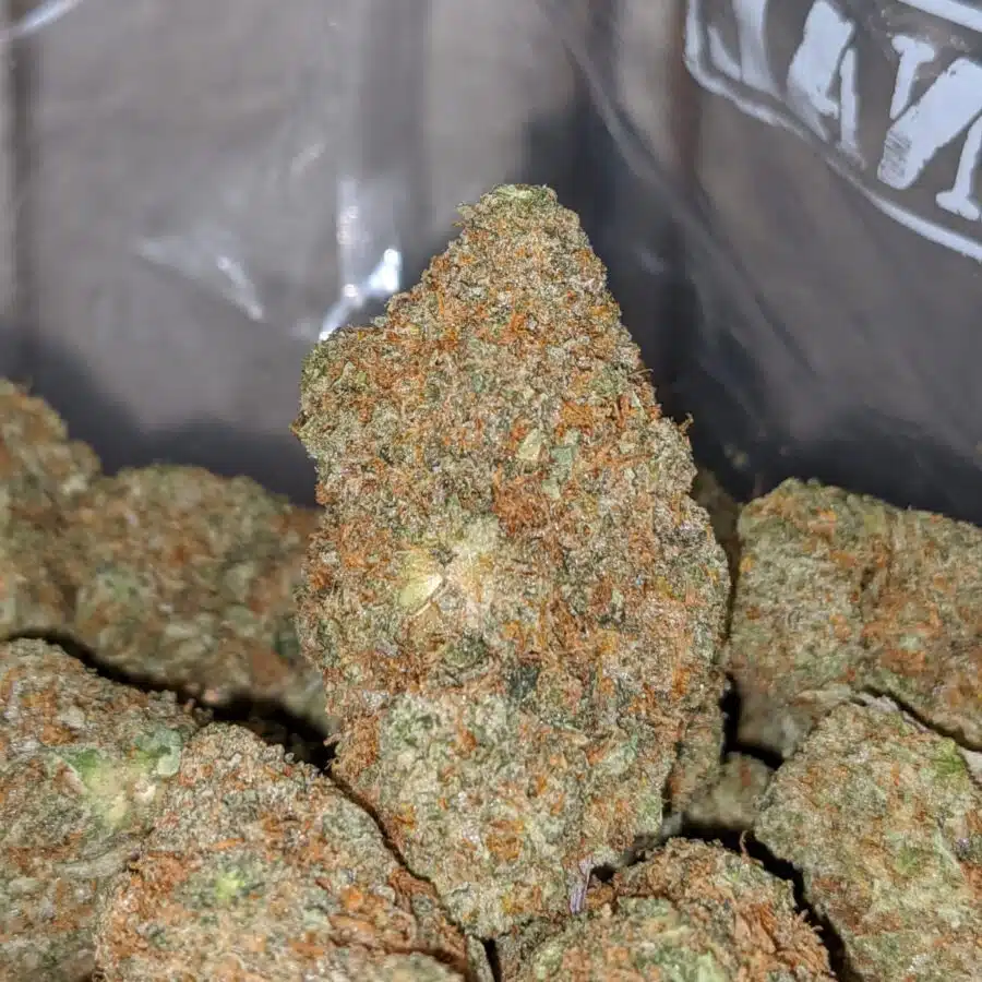 tg 2 I Tony's Greasy Pink - *Deal Of The Day*