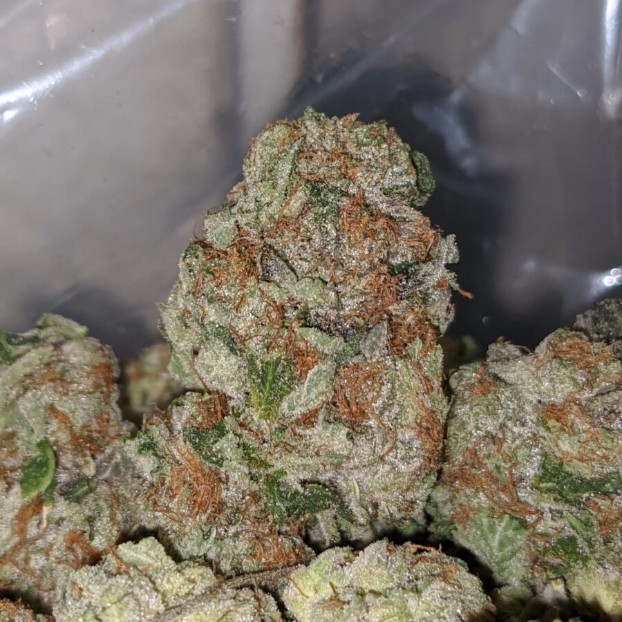 tp 4 1 I Emma's Pink Bubba