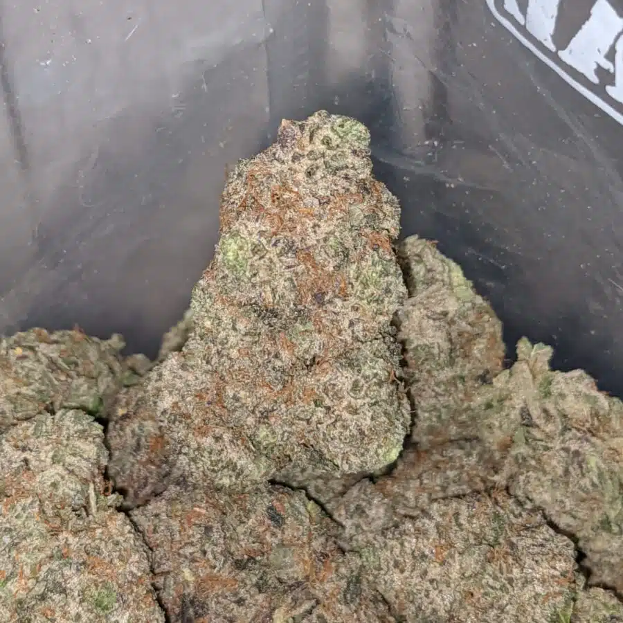 tropicanan cookies 3 I $75 Oz - Tropicana Cookies