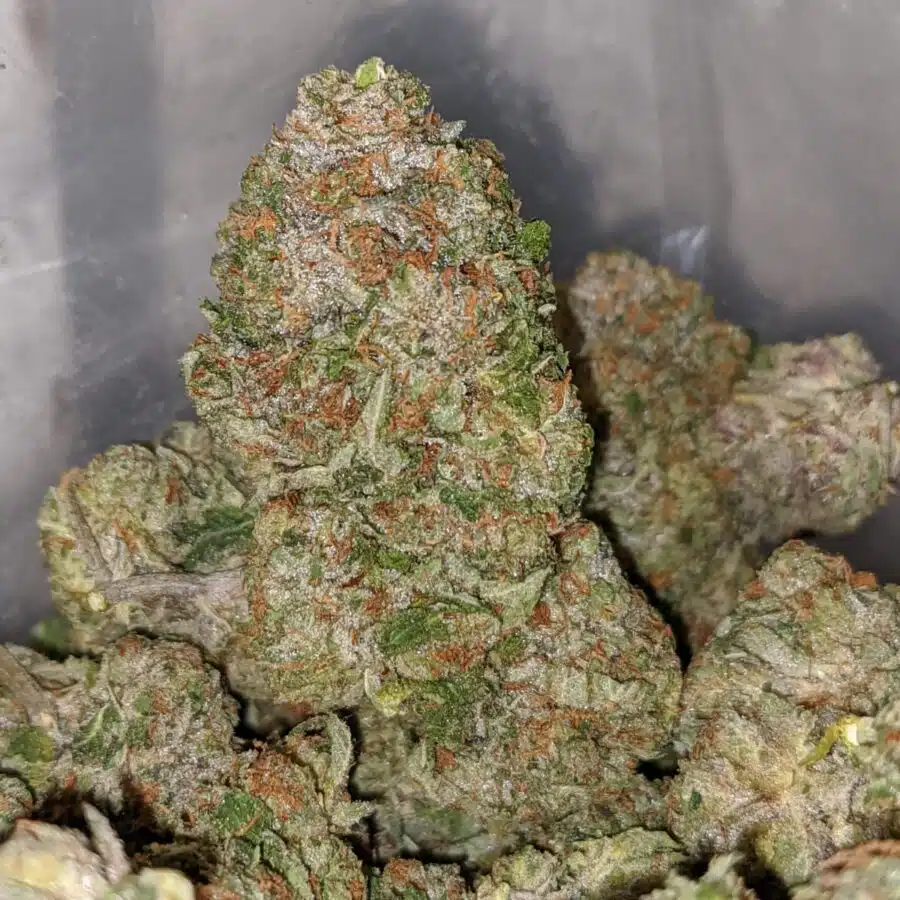 twk 1 I Select White Kush