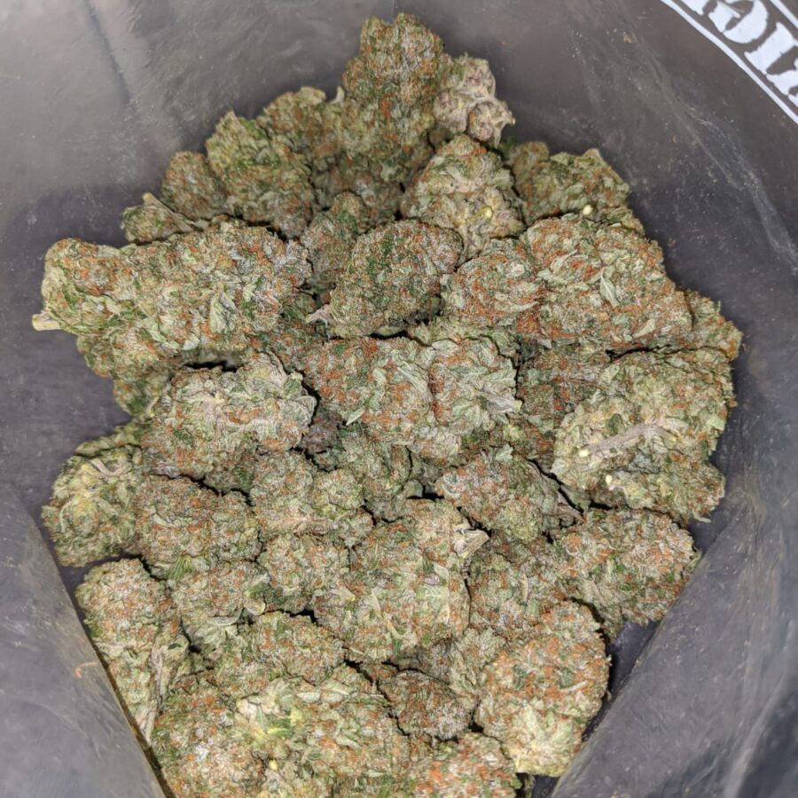 twk 2 I Select White Kush