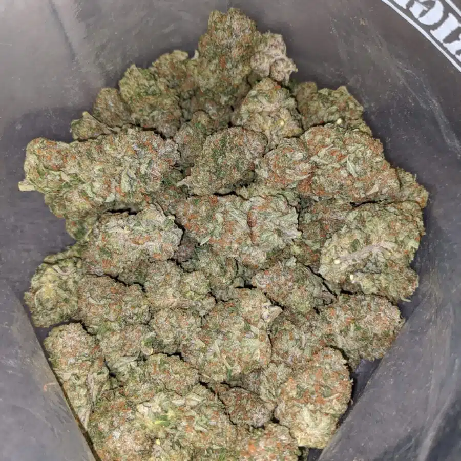 twk 2 I Select White Kush