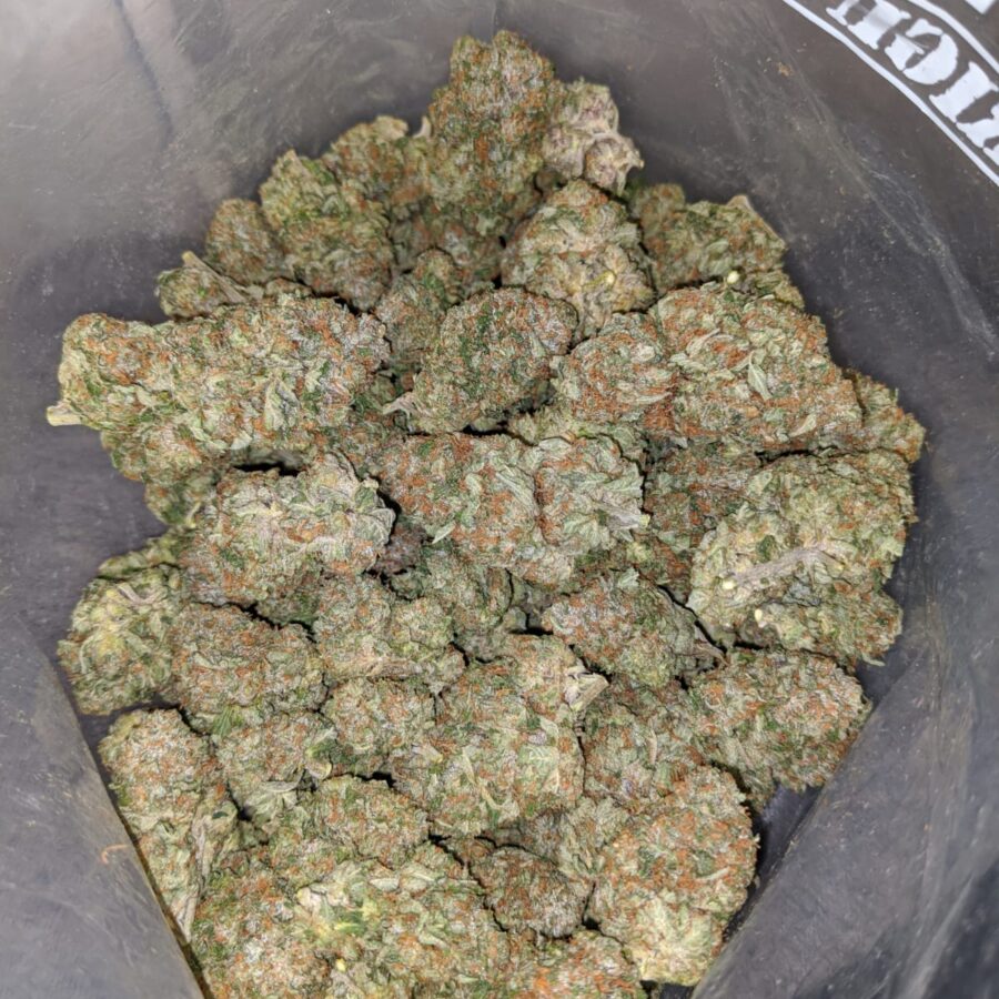 twk 3 I Select White Kush