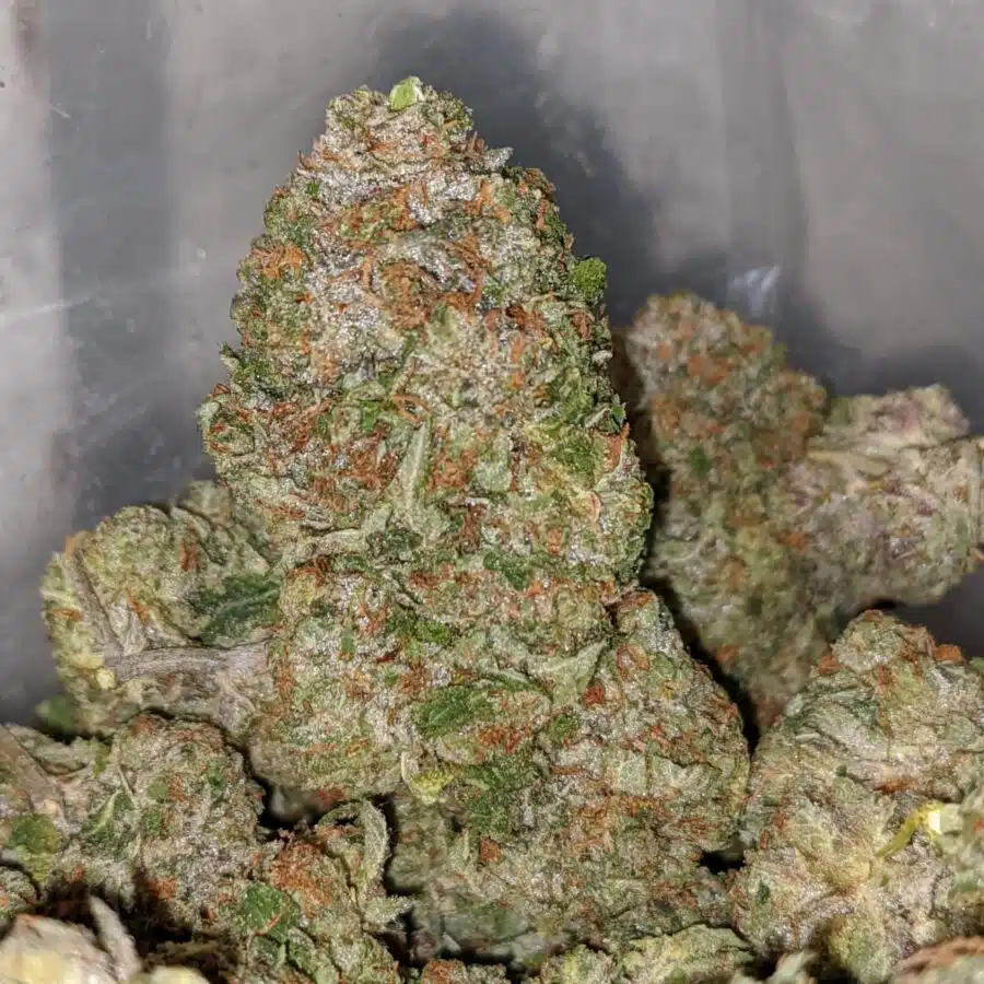 twk 4 I Select White Kush