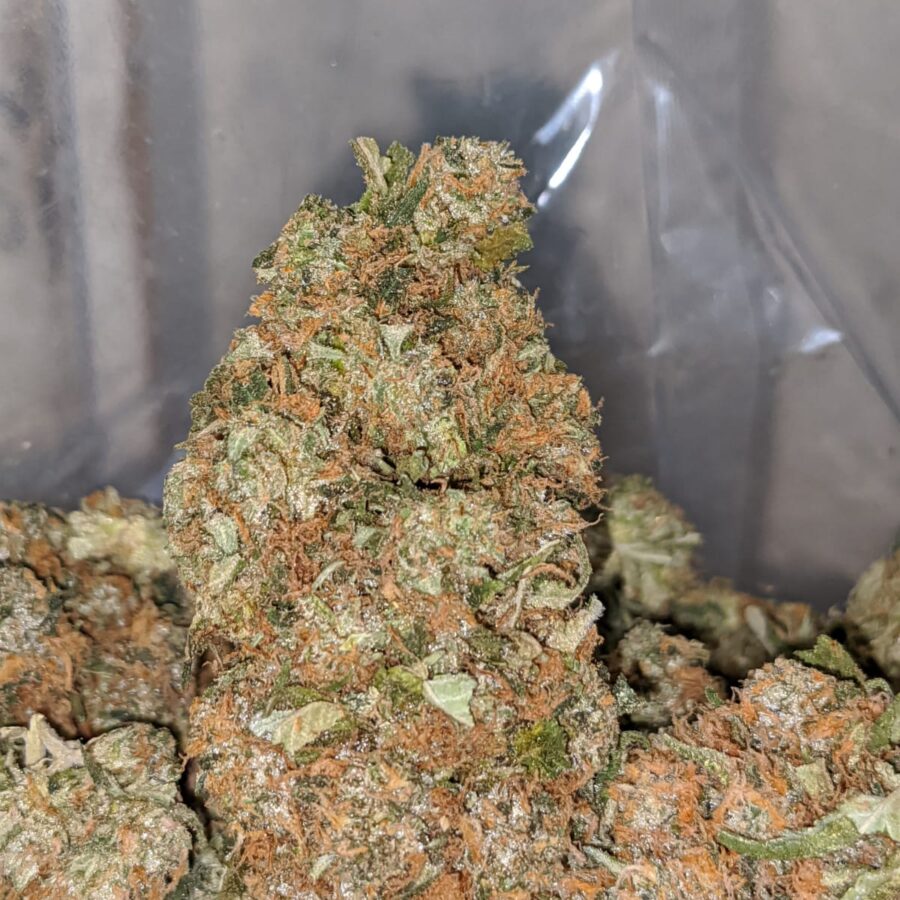 ubc chemo 1 I UBC Chemo