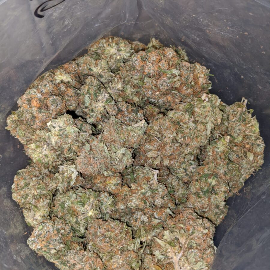 ubc chemo 3 I UBC Chemo