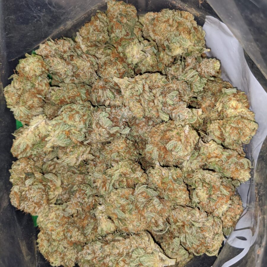 violator kush 1 I Violator Kush