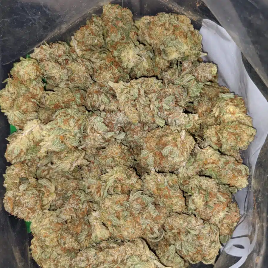 violator kush 2 I Violator Kush