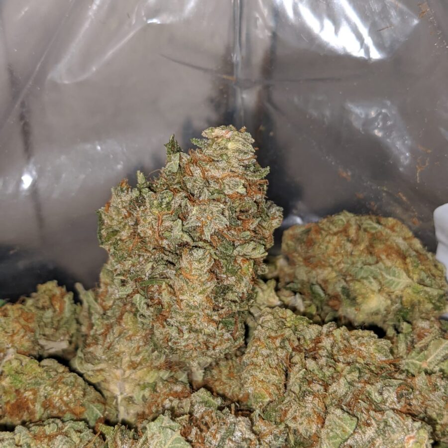 violator kush 3 I Violator Kush