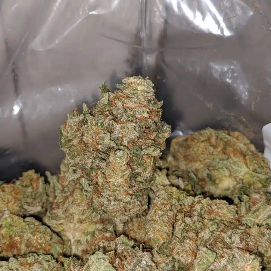 violator kush 3 I Violator Kush