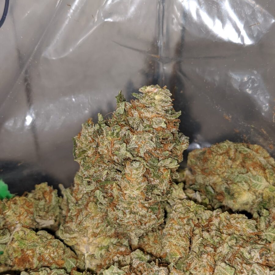 violator kush 4 I Violator Kush