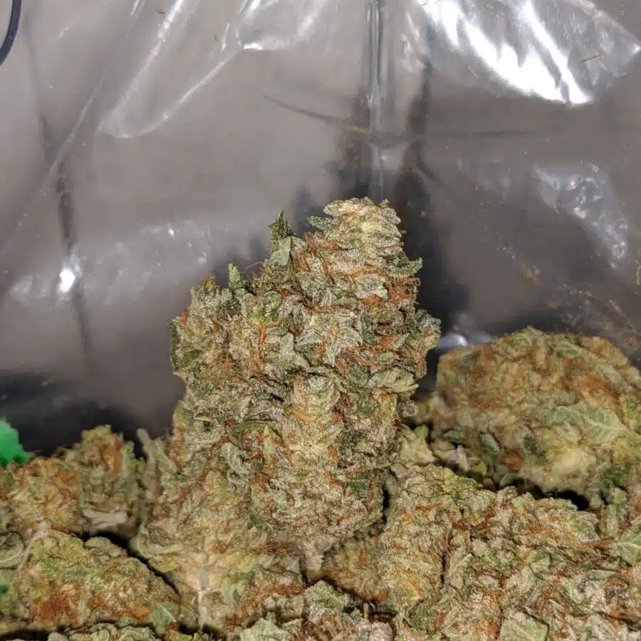 violator kush 4 I Violator Kush