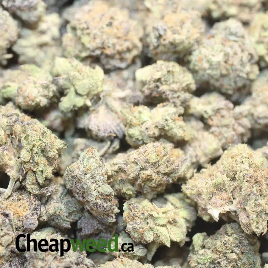 39 MENDO B SMALLS 1 I $39 Oz - Mendo Breath (Smalls)