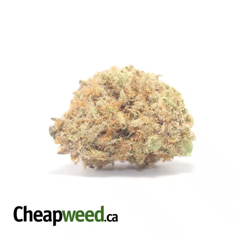 $39 Oz - Mendo Breath (Smalls)