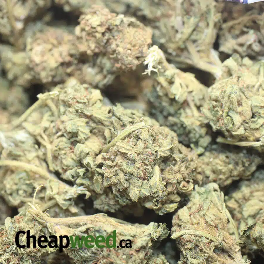 AA GREEN POISON 1 I AA+ Green Poison #2