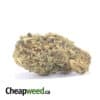 AA+ Green Poison #2