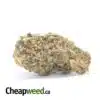 AA+ Green Poison #2