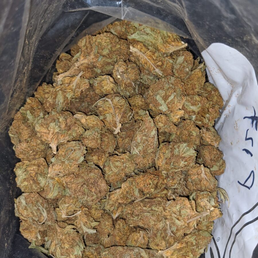 AA OG SKUNK 1 I AA+ OG Skunk