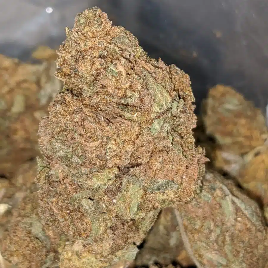 AA OG SKUNK 3 I AA+ OG Skunk