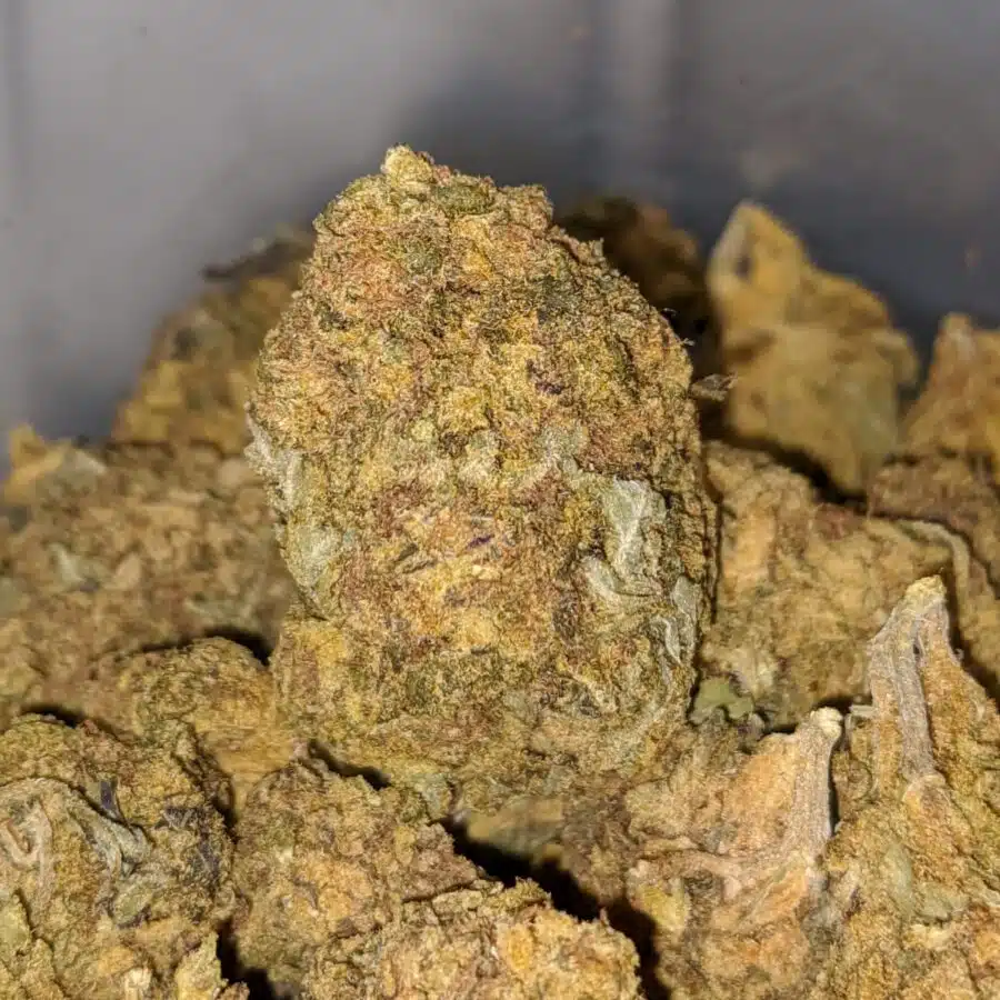 AA sour candy 1 1 I Sour Candy
