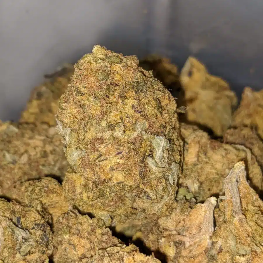 AA sour candy 2 1 I Sour Candy