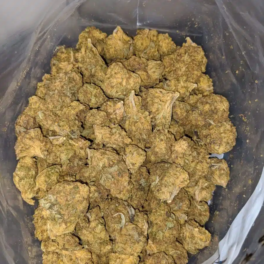 AA sour candy 3 1 I Sour Candy