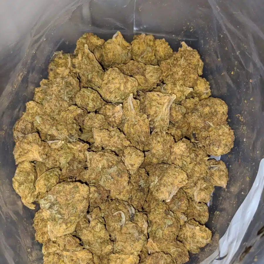 AA sour candy 4 1 I Sour Candy