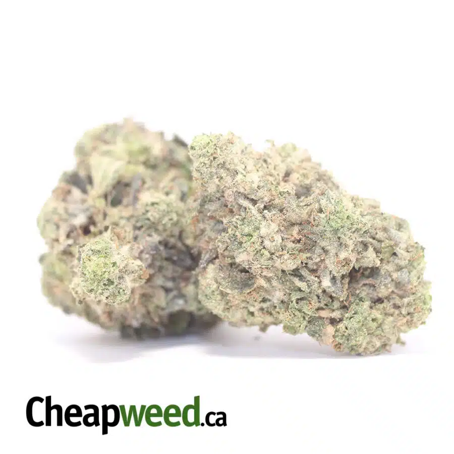 Alternative view of Emma's Chemdawg