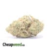 Emma's Girl Scout Cookies
