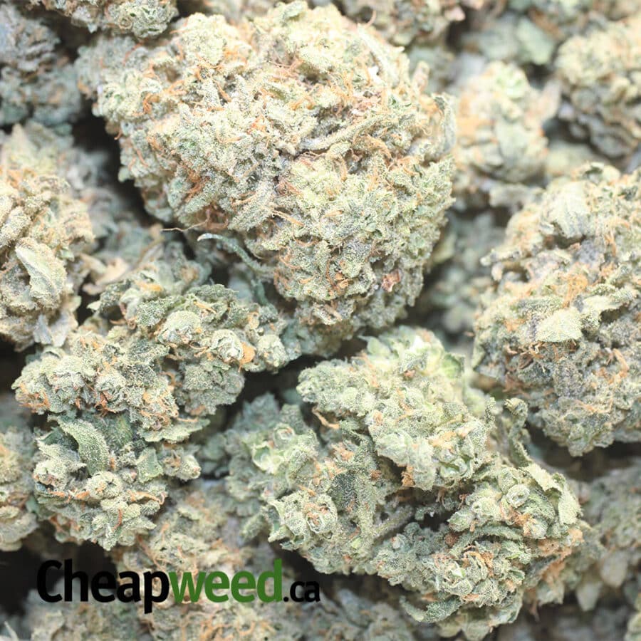 EMMA PINEAPPLE EXPRESS 1 I Cheap Pineapple Express