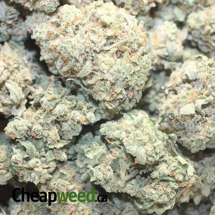 EMMA PINEAPPLE EXPRESS 1 I Cheap Pineapple Express