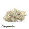 Fruit Cake - *Deal Of The Day*