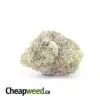 Island Pink - *Deal Of The Day*