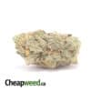 Jedi OG - *Deal Of The Day*