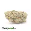 Jedi OG - *Deal Of The Day*