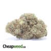$64 Oz - Kandy Runtz