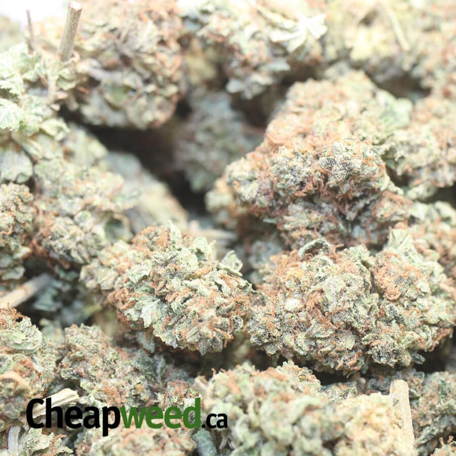 KOSHER BULK SPECIAL 1 I Kosher Bulk Special