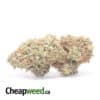 Kosher Bulk Special