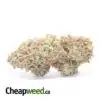 Kosher Bulk Special