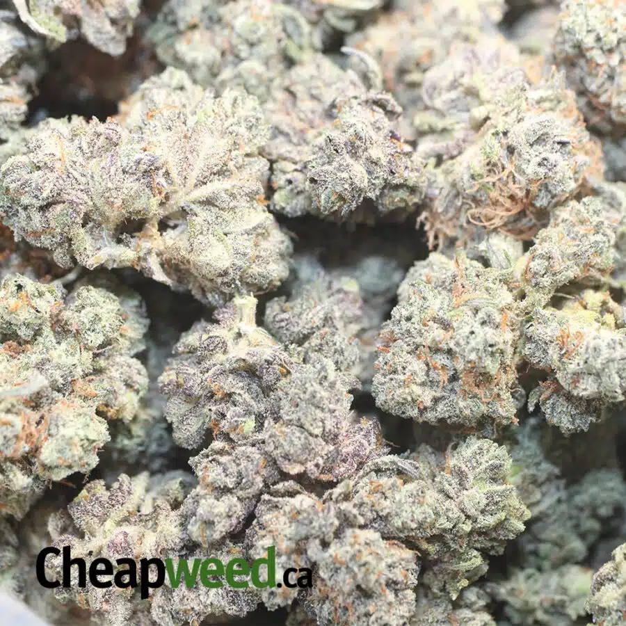 LA KUSH CAKE 1 I La Kush Cake