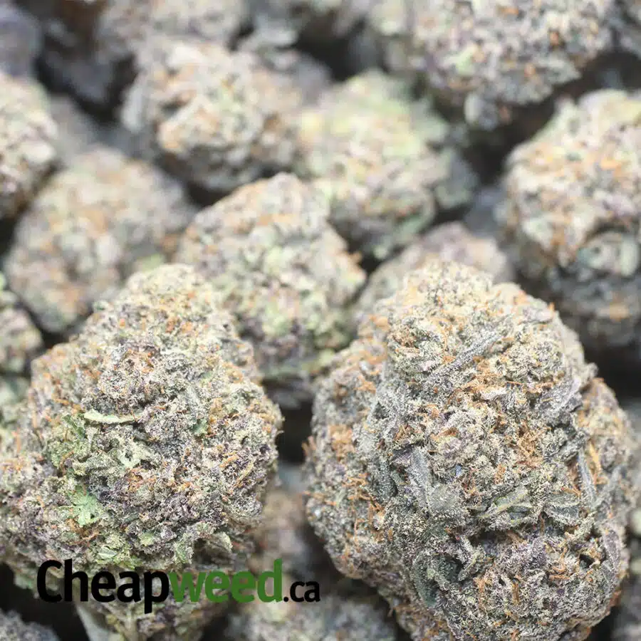 PURPLE COOKIES 1 I $69 oz - Purple Cookies