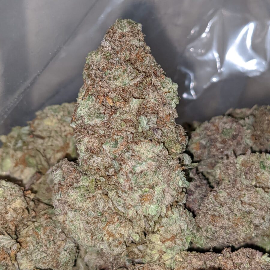 PURPLE POISON 1 I Purple Poison